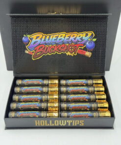 buy hollowtips bullet 2g disposable online