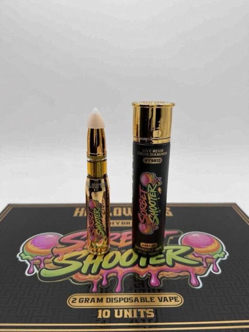 Hollowtips Bullet 2G Disposable