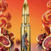BUY HOLLOWTIPS V2 DISPOSABLE 2G ONLINE
